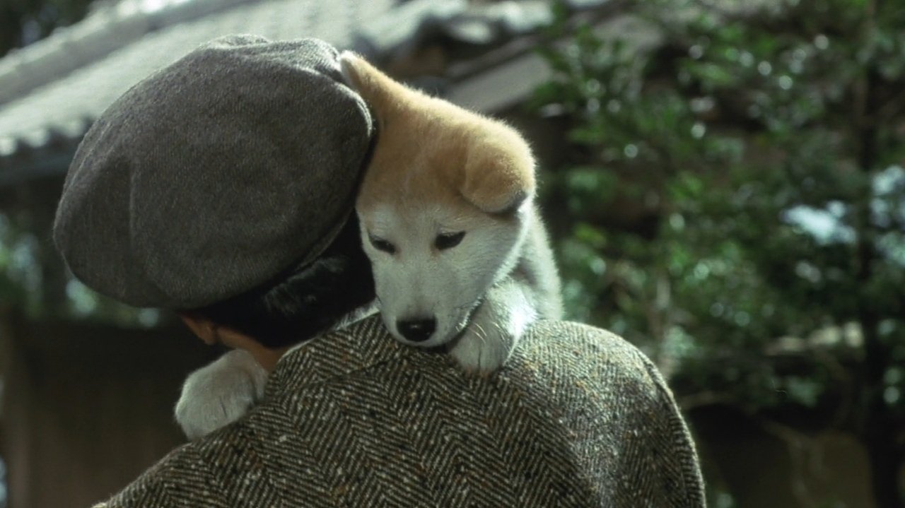 Hachiko - Wahre Freundschaft währt ewig (1987) abspielen