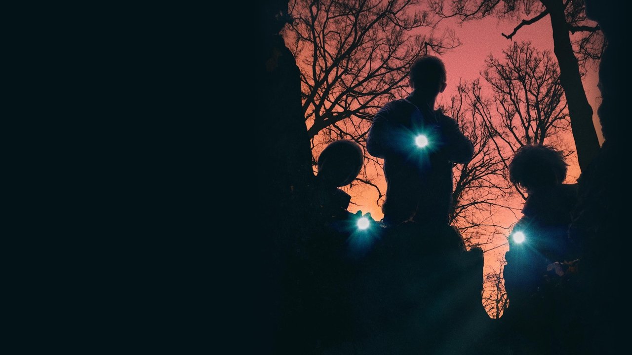 Super Dark Times (2017) abspielen