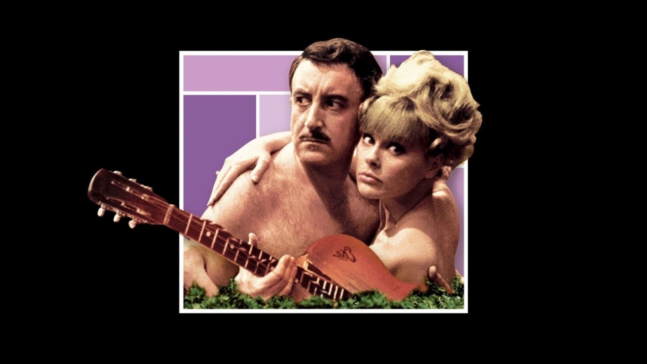 Ein Schuß im Dunkeln (1964) abspielen