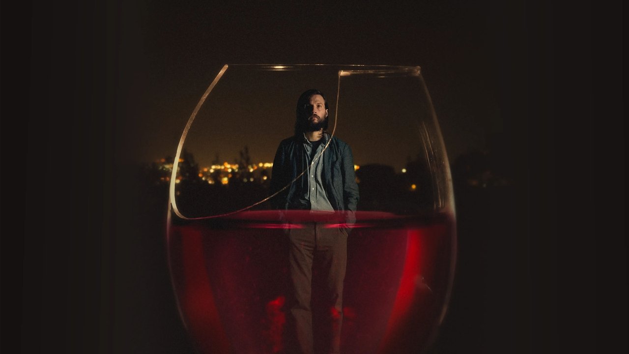 The Invitation (2016) abspielen