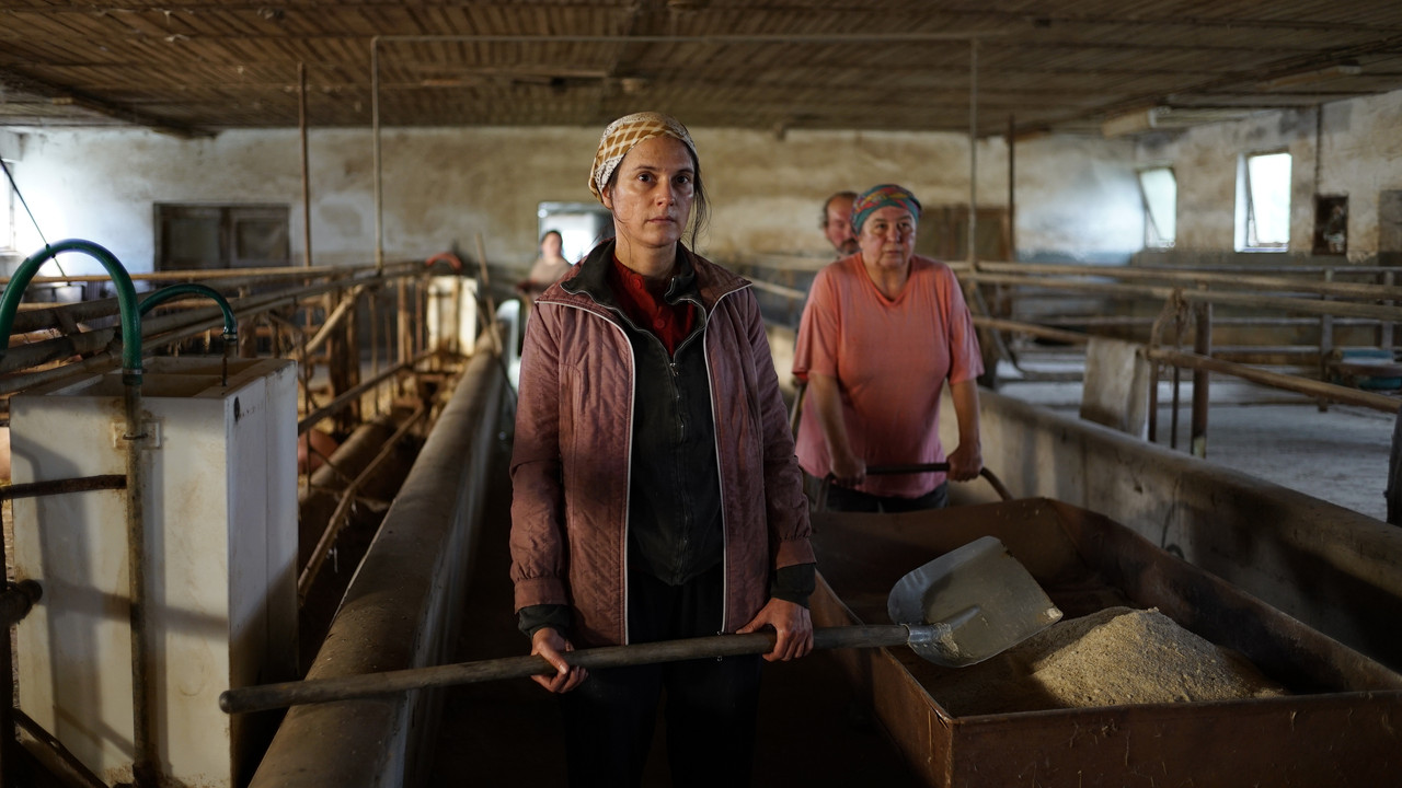 Trockenzeit (2024) abspielen