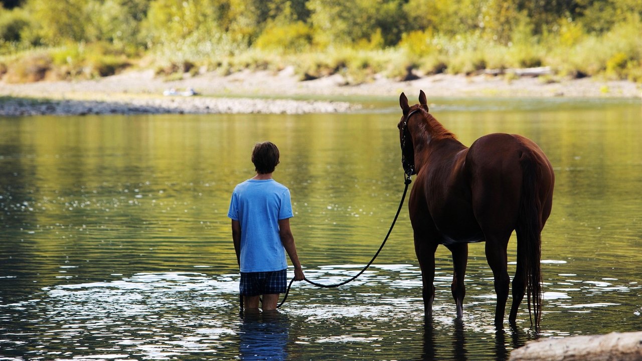 Lean on Pete (2018) abspielen