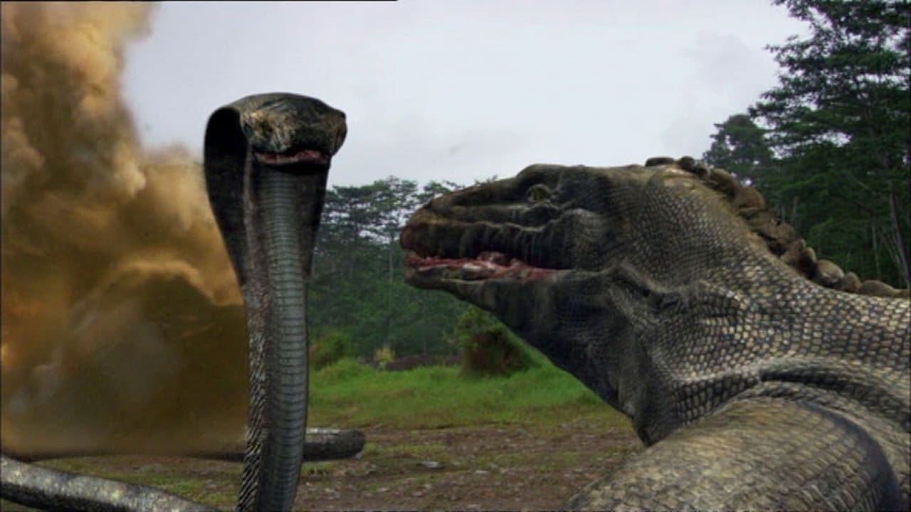 Komodo vs. Cobra (2005) abspielen