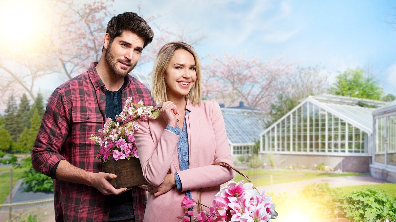 A Brush with Love (2019) abspielen