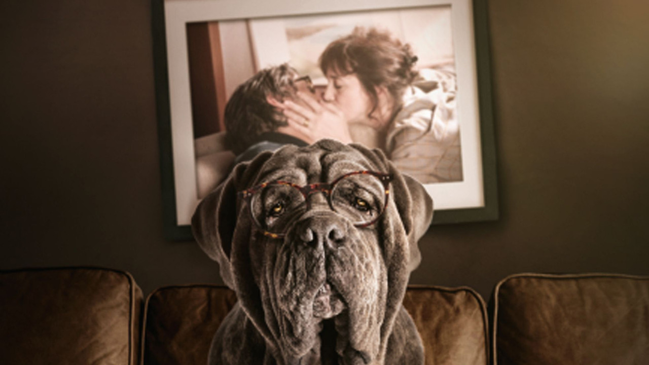 Der Hund bleibt (2019) abspielen