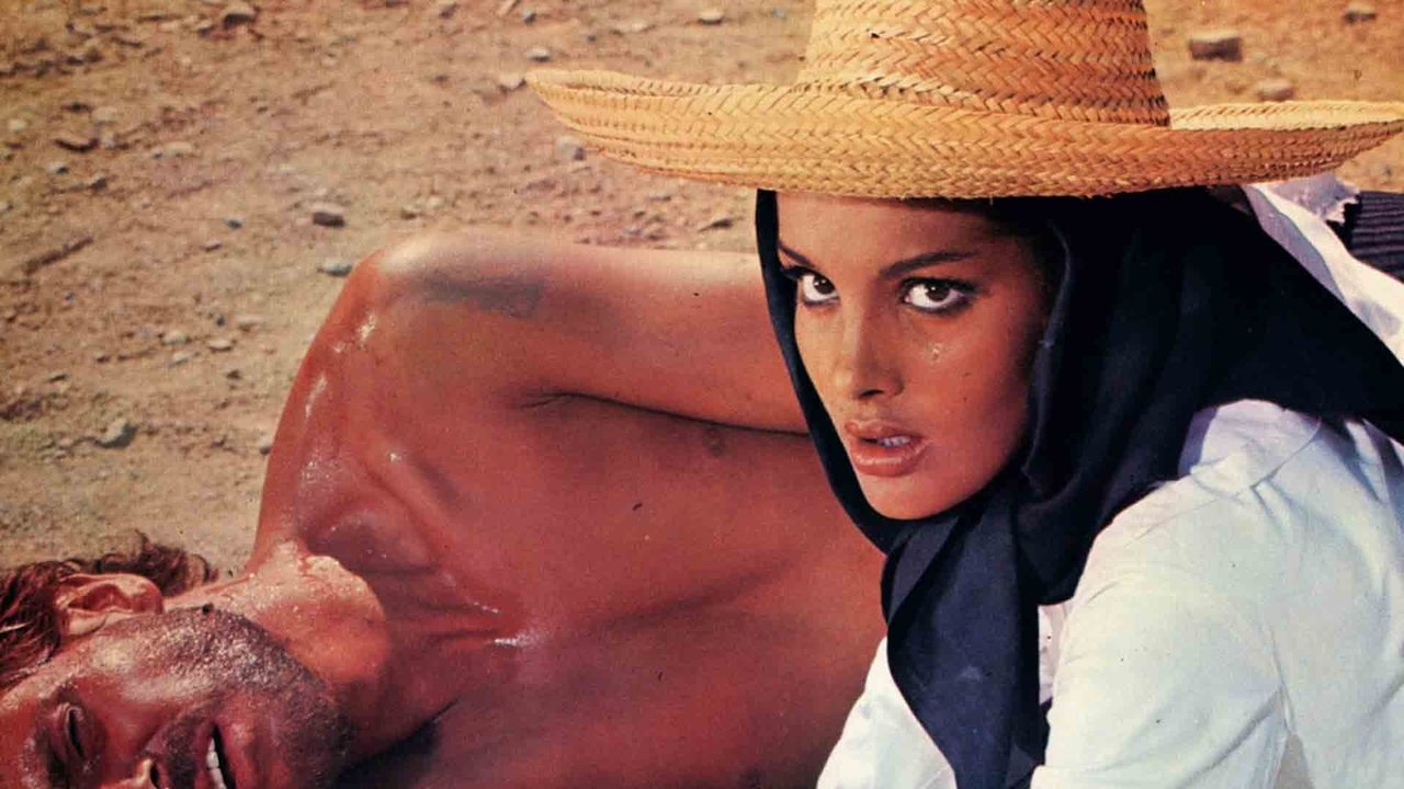 Die 7 Pistolen des McGregor (1966) abspielen