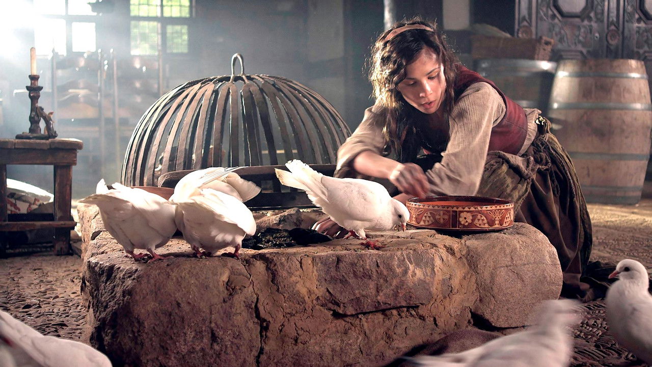 Aschenputtel (2011) abspielen