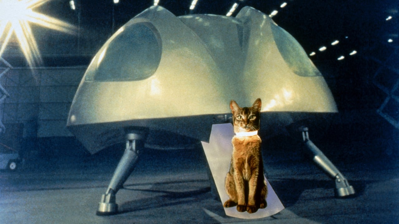Die Katze aus dem Weltraum (1978) abspielen