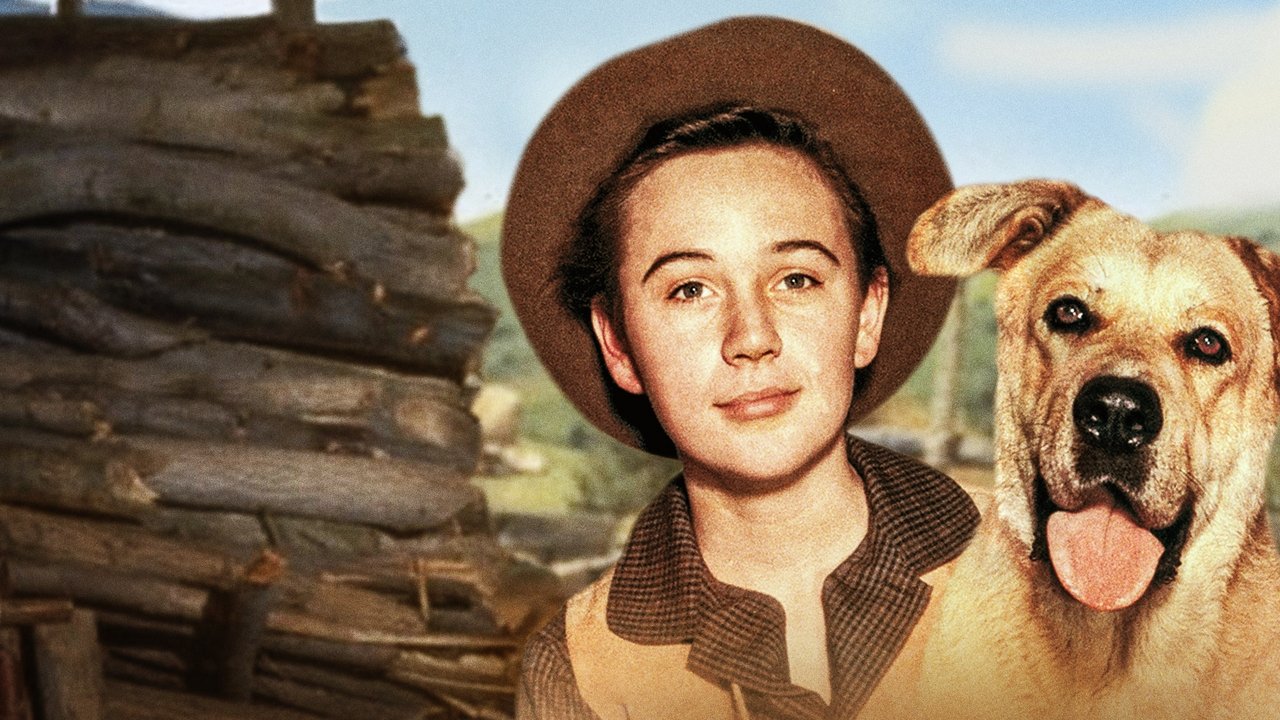 Sein Freund Jello (1957) abspielen