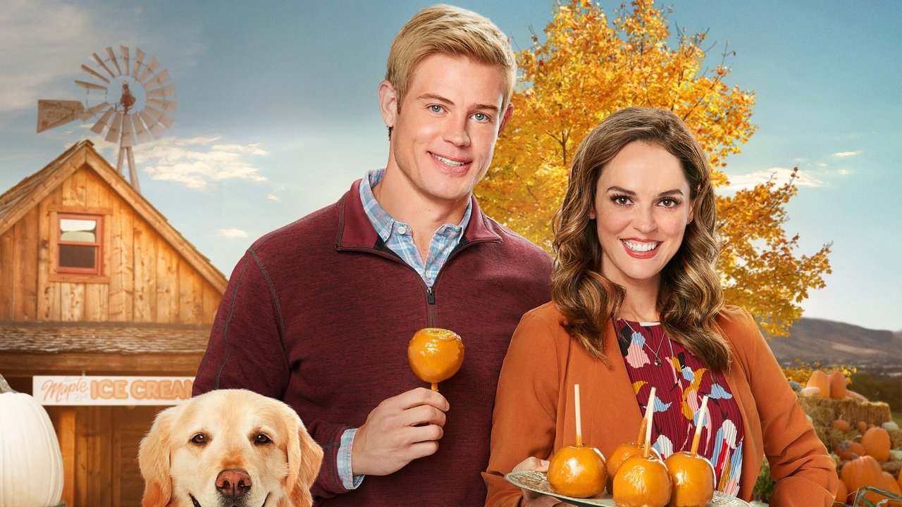 Love, Fall & Order - Im Zweifel für die Liebe (2019) abspielen