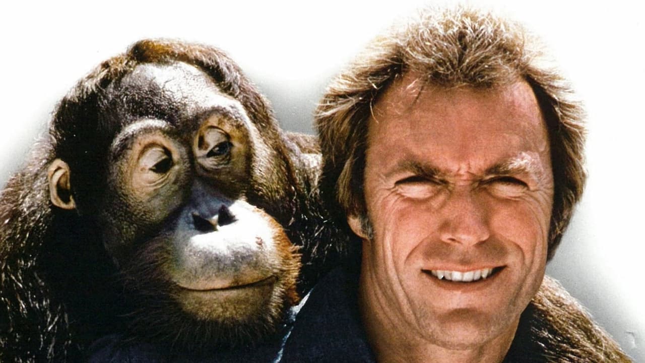 Der Mann aus San Fernando (1978) abspielen