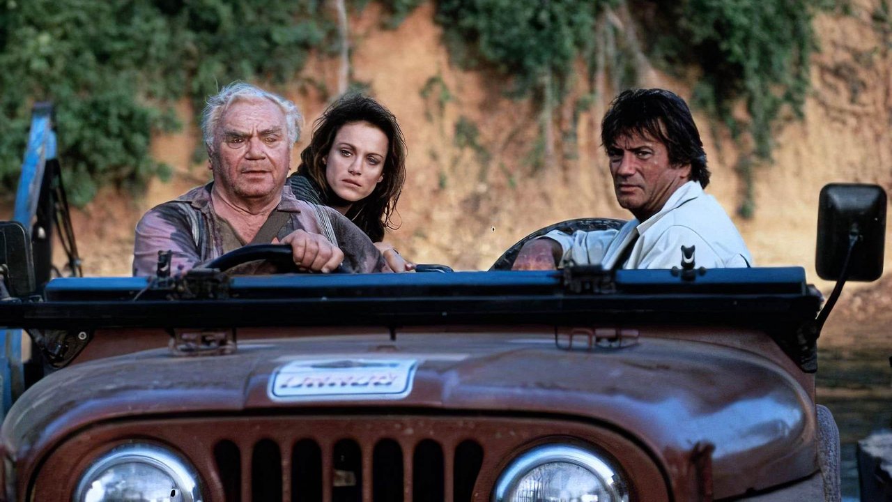 Der blaue Diamant (1993) abspielen