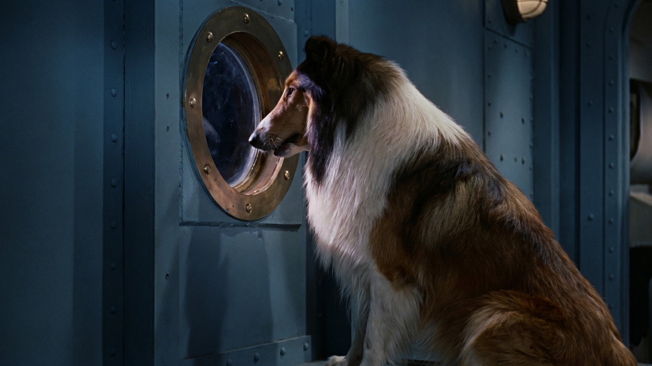 Lassie unterwegs (1966) abspielen