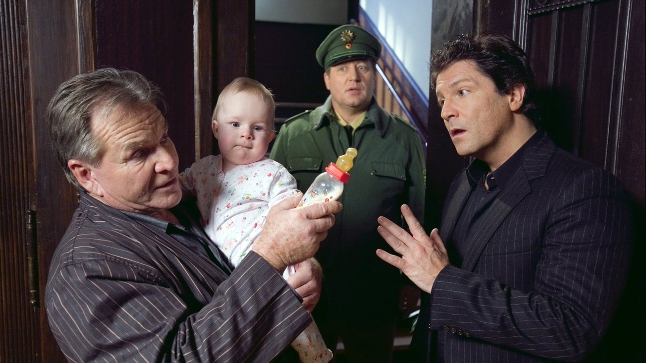Baby frei Haus (2009) abspielen