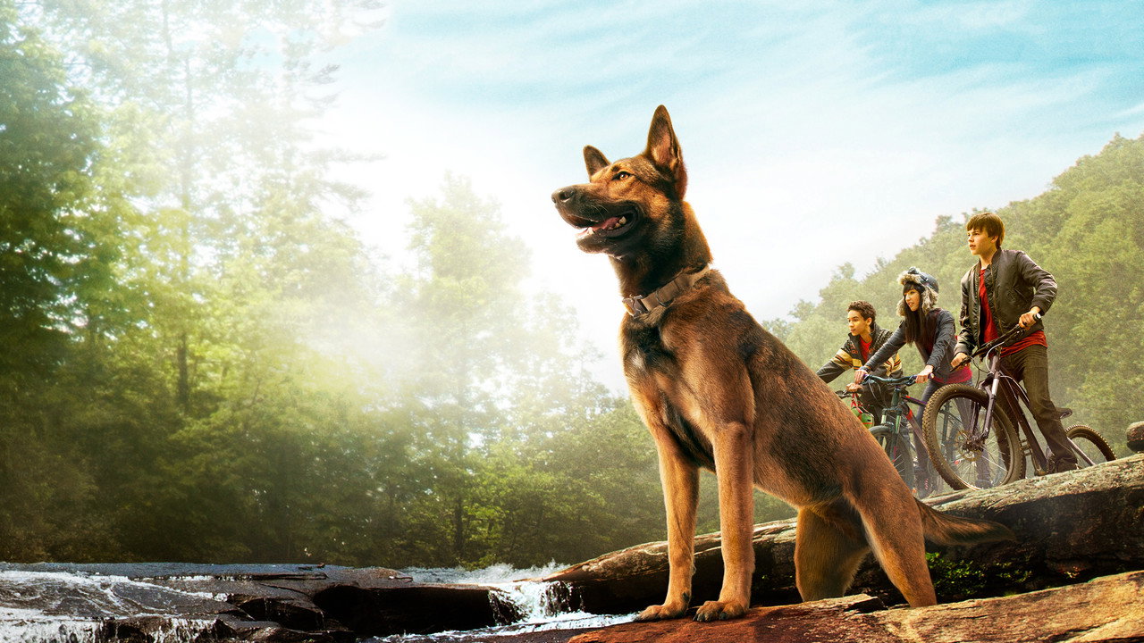 Max (2015) abspielen