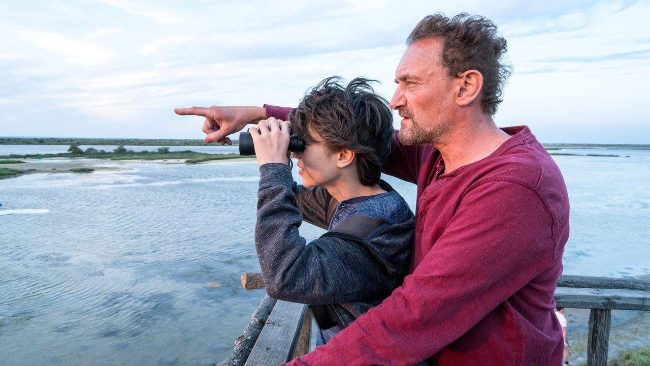 Der Junge und die Wildgänse (2019) abspielen