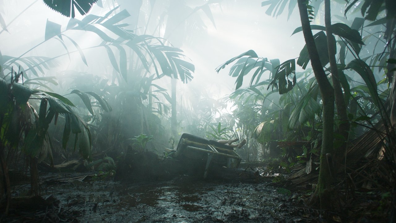 Transamazonia (2025) abspielen