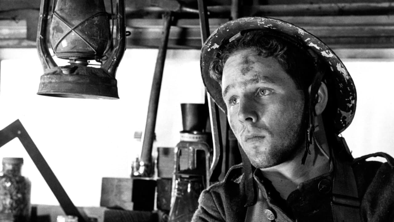 Johnny zieht in den Krieg (1971) abspielen