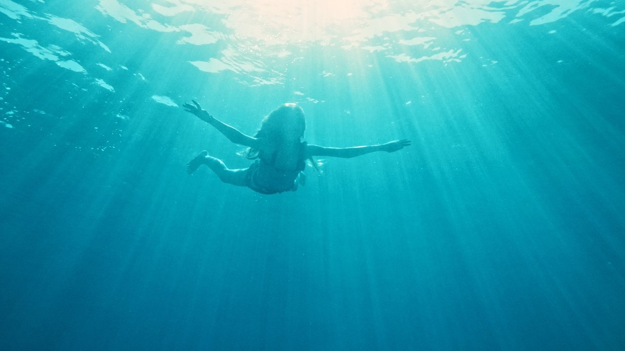 Der Sommer, als ich fliegen lernte (2022) abspielen