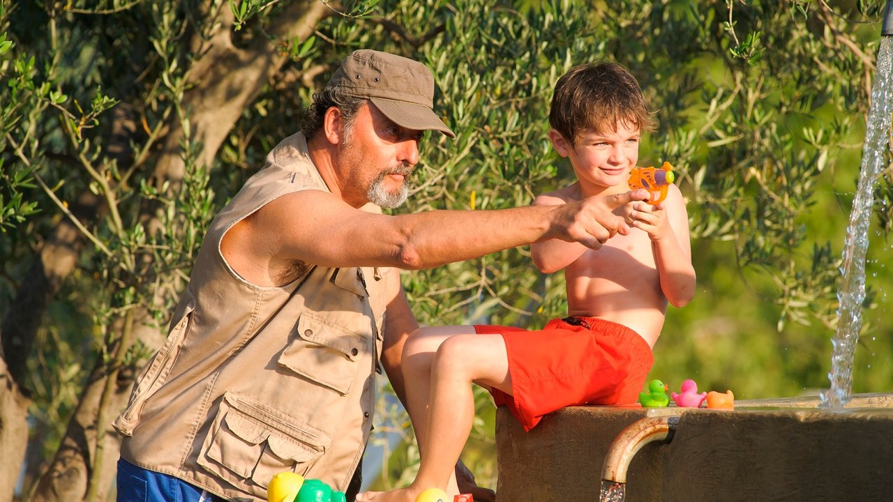 Ein Sommer in der Provence (2014) abspielen