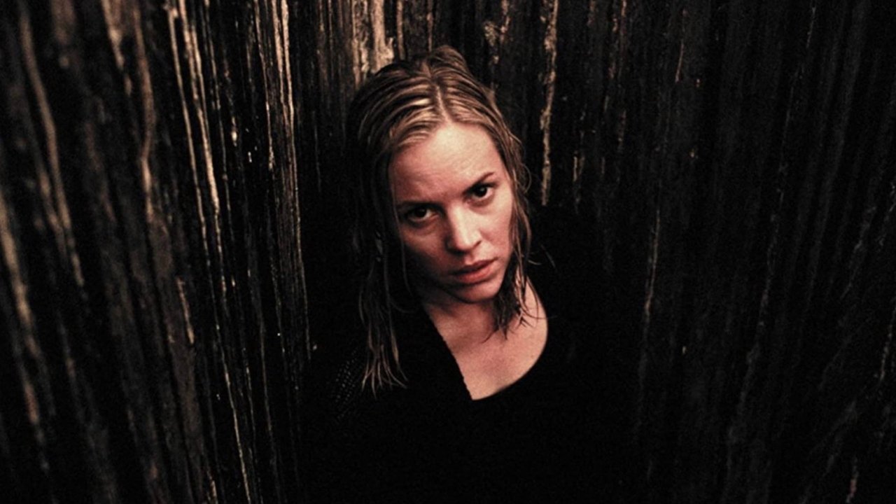 The Dark (2005) abspielen