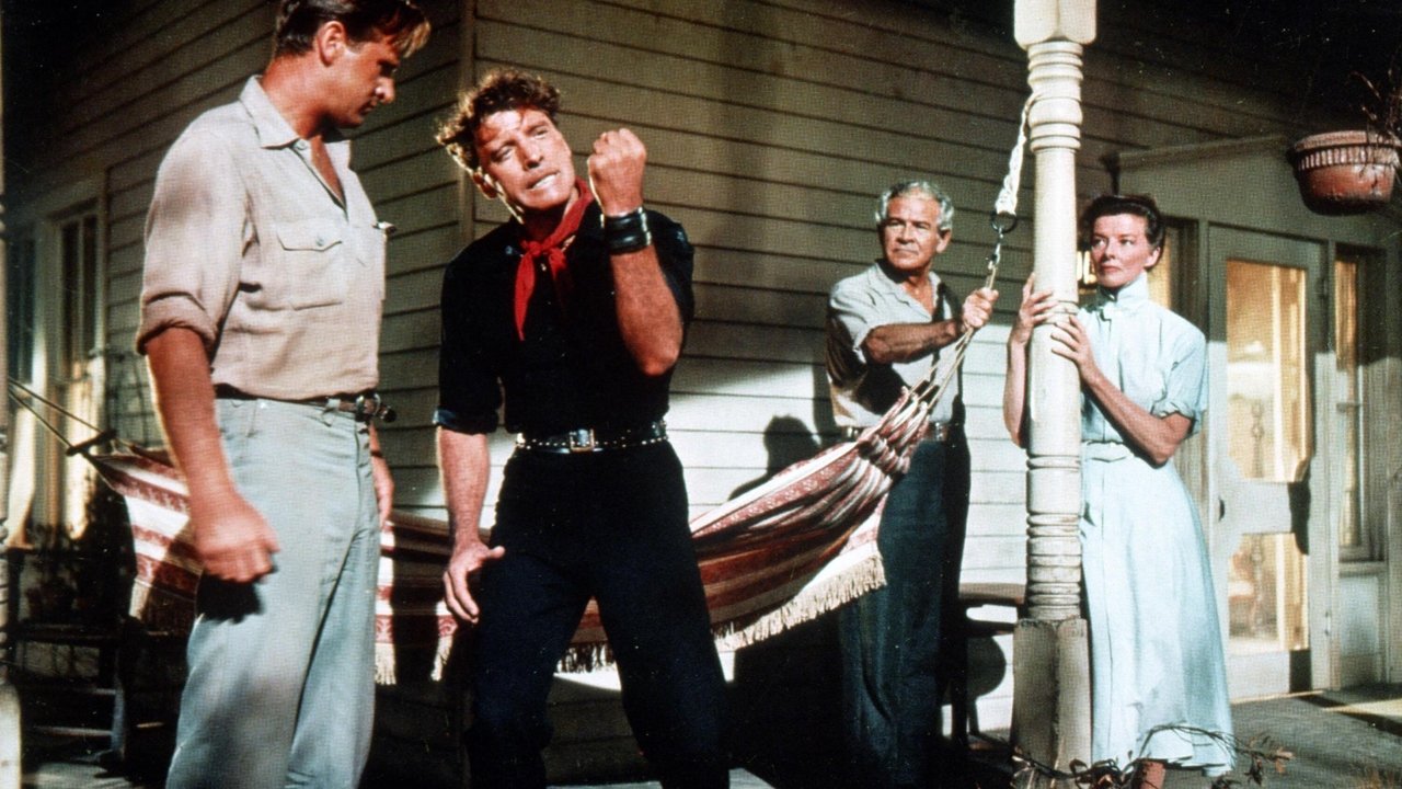 Der Regenmacher (1956) abspielen