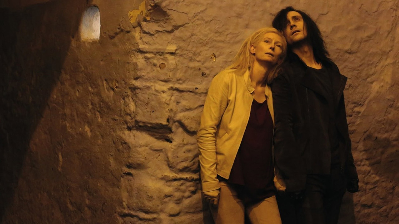Only Lovers Left Alive (2013) abspielen