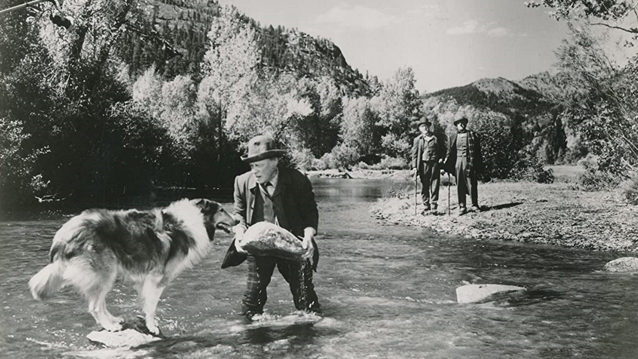 Lassies Heimat (1948) abspielen