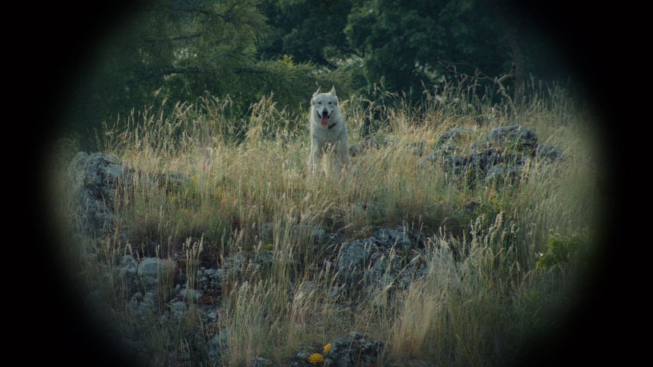 Nebelkind - The End of Silence (2025) abspielen