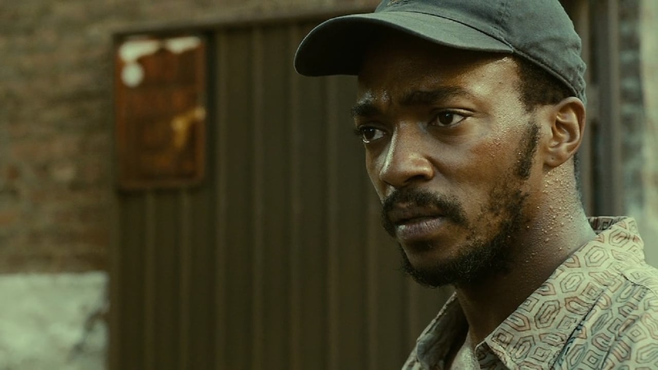 Shelter (2014) abspielen