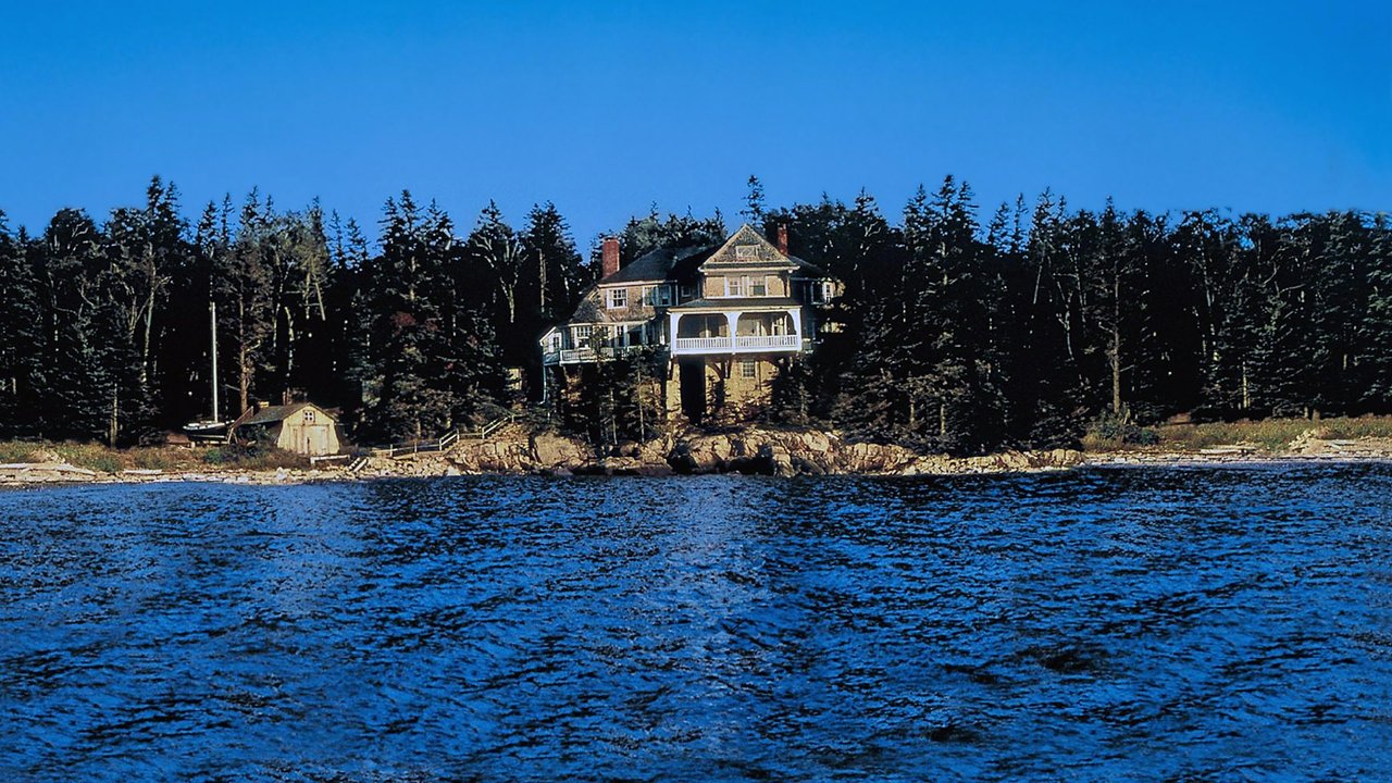 Der Mann ohne Gesicht (1993) abspielen