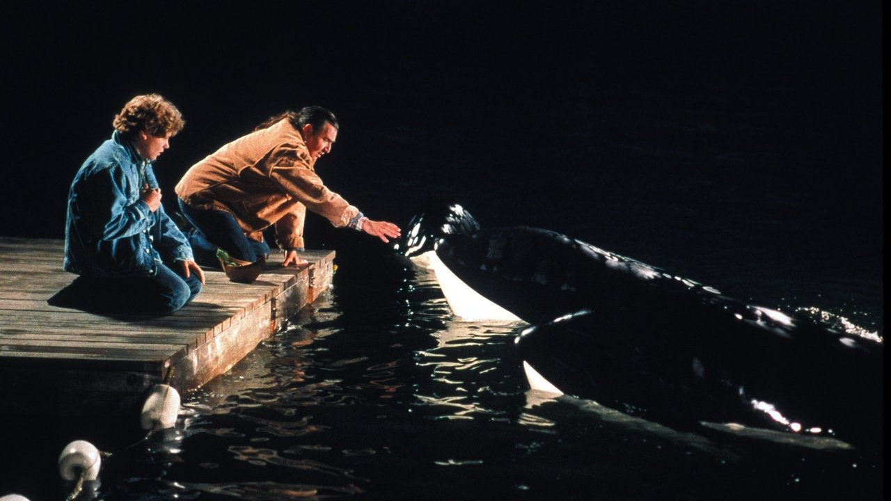 Free Willy 2 - Freiheit in Gefahr (1995) abspielen