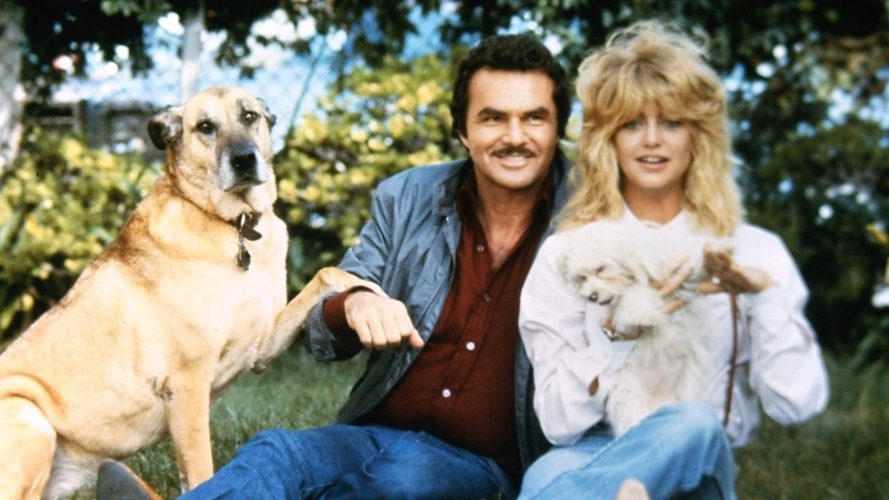Zwei dicke Freunde (1982) abspielen
