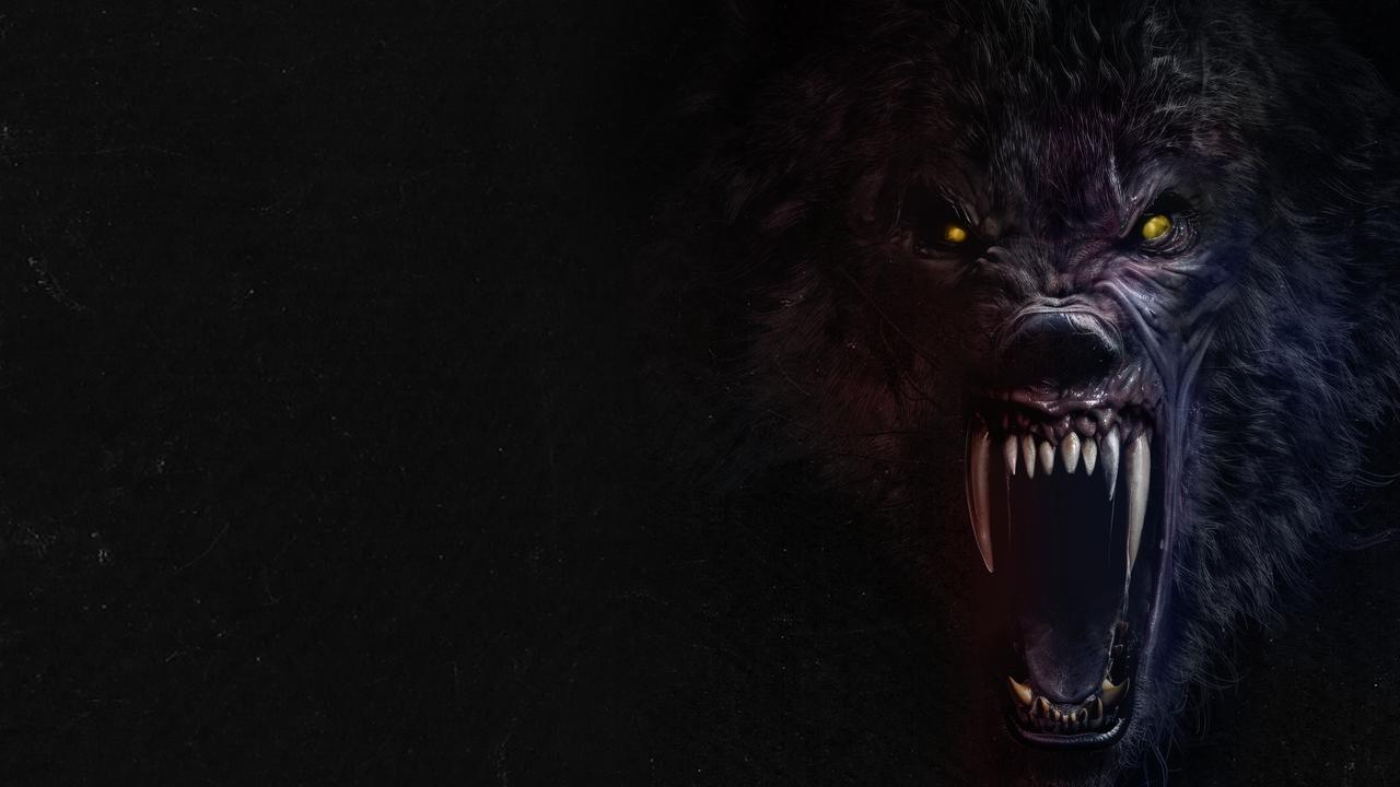 Werewolves (2024) abspielen