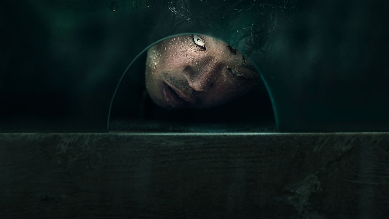 The 8th Night (2021) abspielen