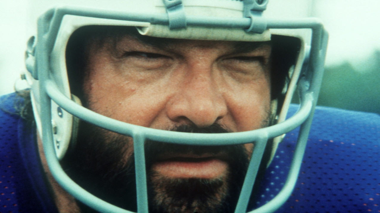 Sie nannten ihn Mücke (1978) abspielen