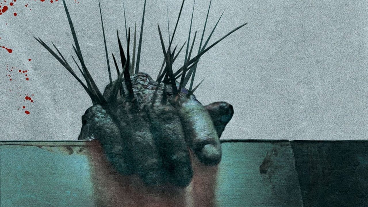 Splinter (2008) abspielen