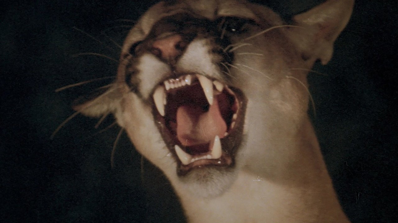 Panik in der Sierra Nova (1977) abspielen