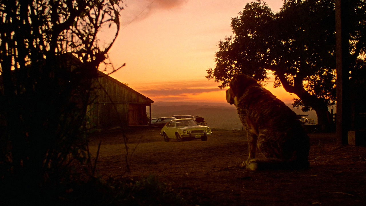 Cujo (1983) abspielen