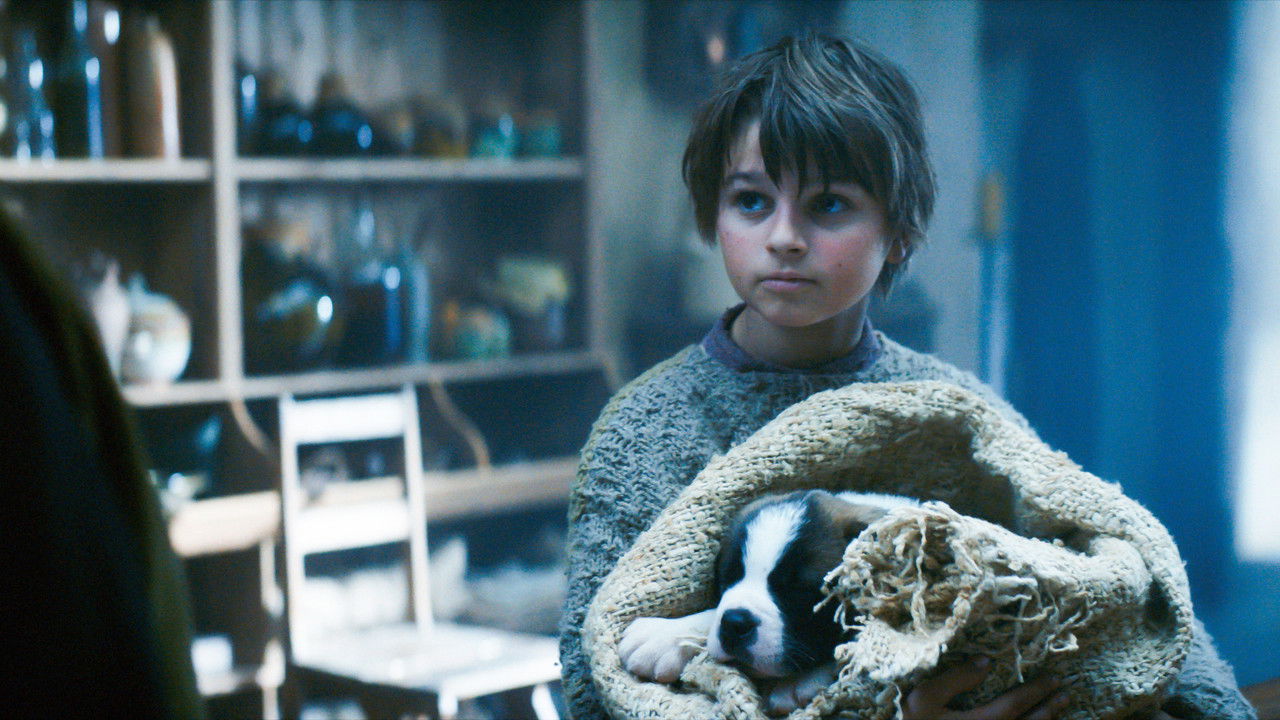 Mein Freund Barry (2026) abspielen