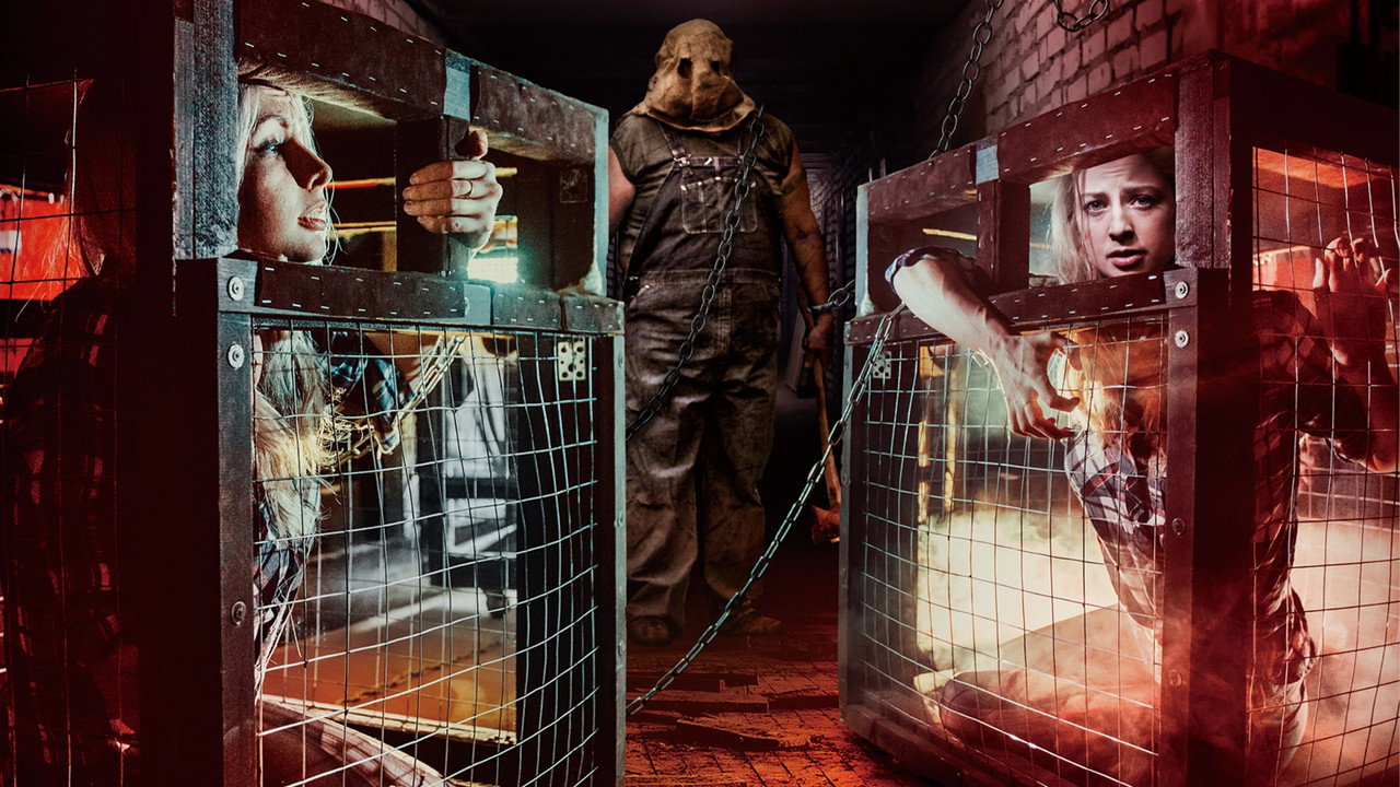 Escape Room (2017) abspielen