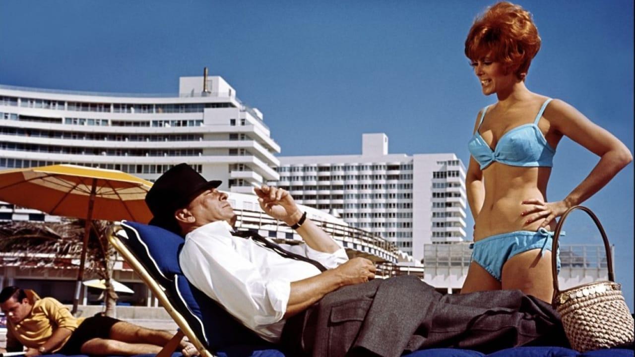 Der Schnüffler (1967) abspielen