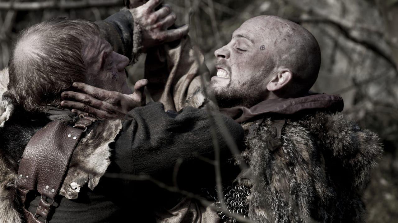 Das Blut der Wikinger (2013) abspielen