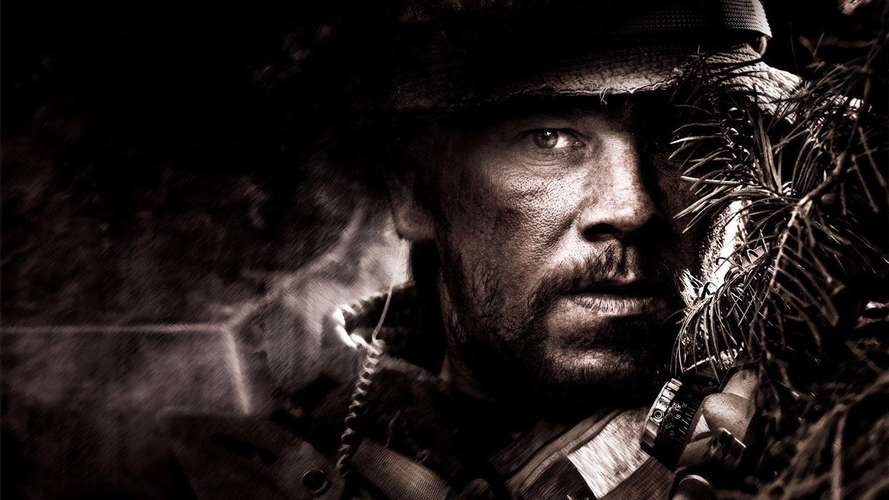Lone Survivor (2013) abspielen