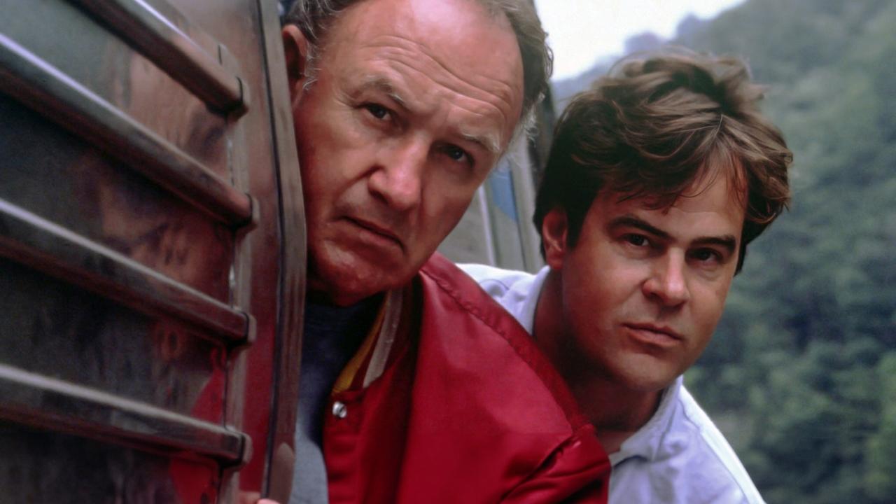 Der Harte und der Zarte (1990) abspielen