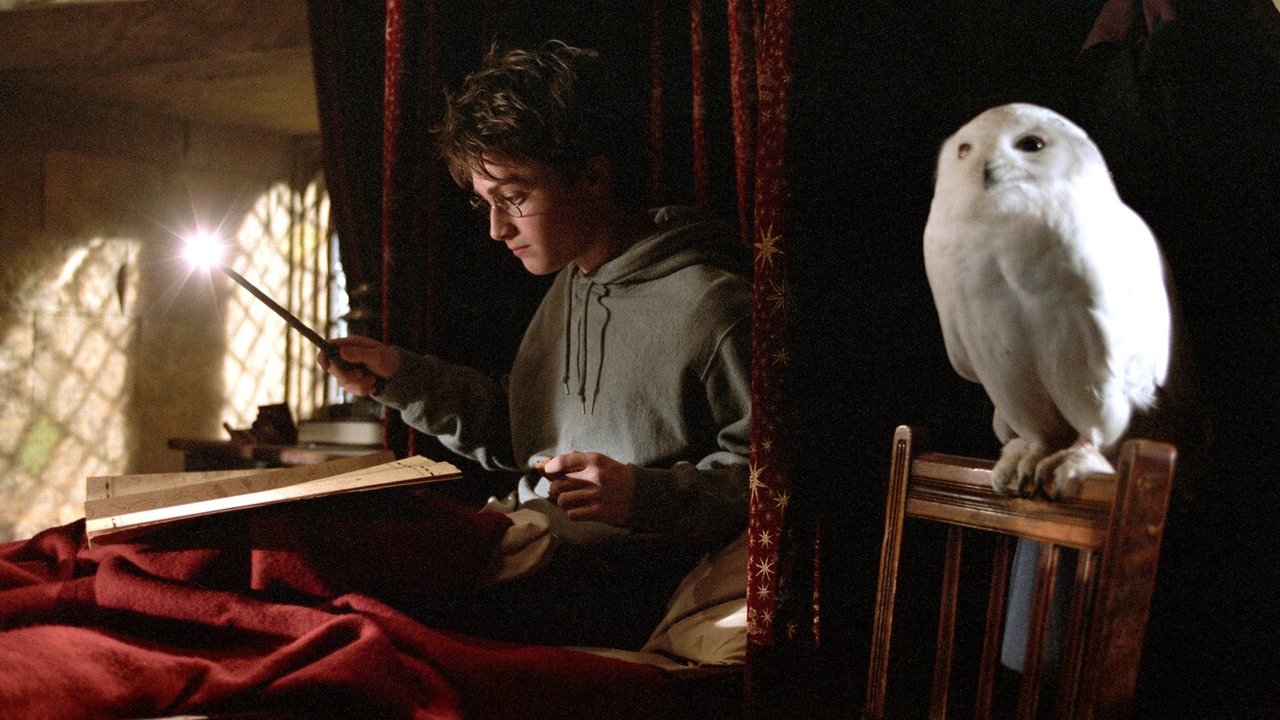 Harry Potter und der Gefangene von Askaban (2004) abspielen