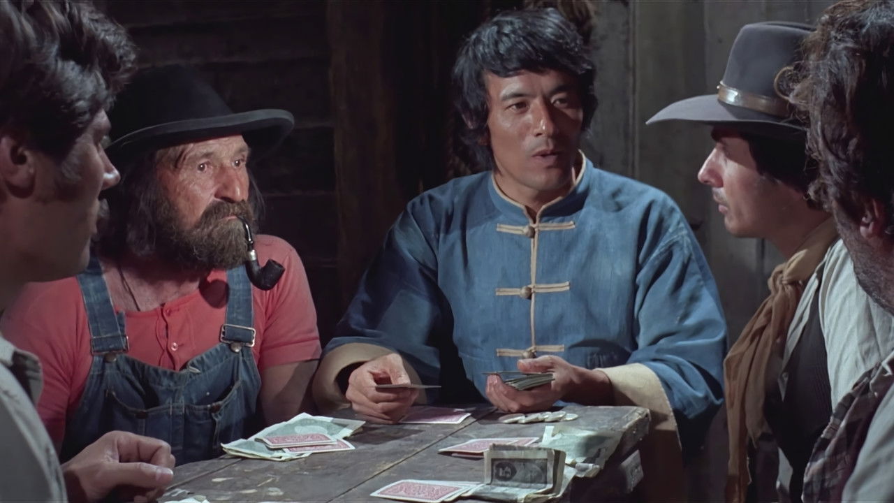Der Mann mit der Kugelpeitsche (1973) abspielen