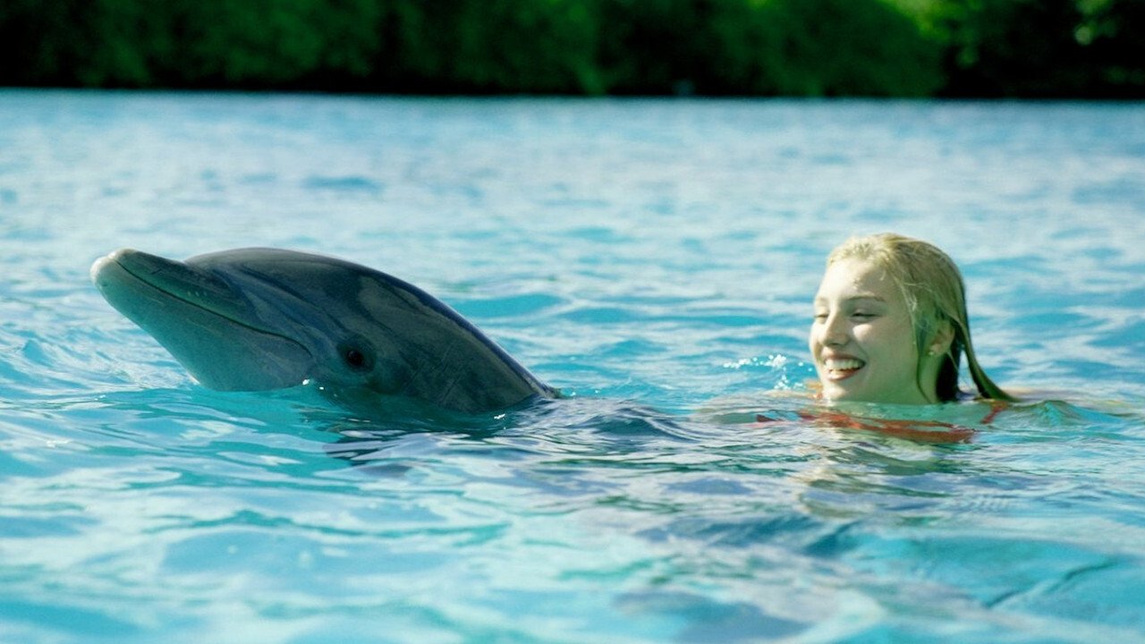 Die Insel der Delfine (2021) abspielen