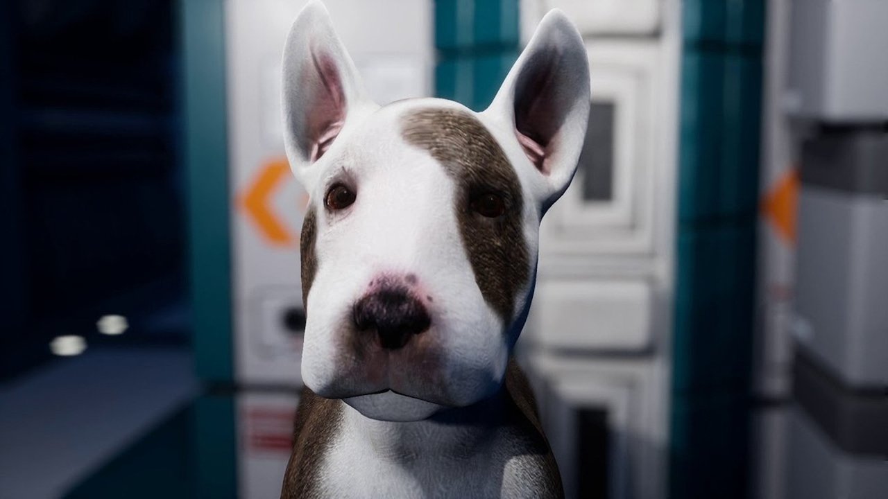 Dog Patrol - Das gefallene Königreich der Knochen (2019) abspielen