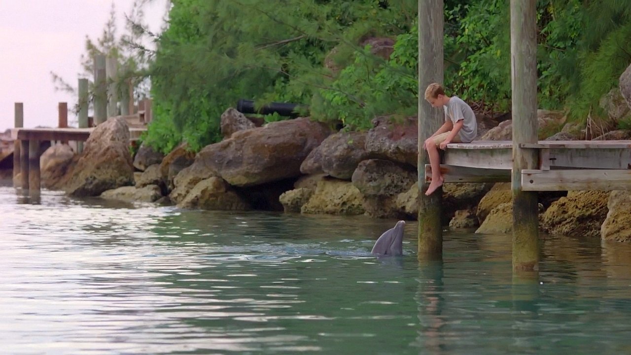 Echo der Delphin (2019) abspielen